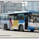 방하목 이미지