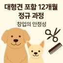 유지네 애견미용샵 이미지