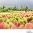 황산공원 캠핑장 3번 이미지