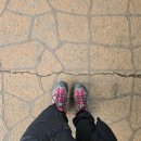 석수체육공원_하 이미지