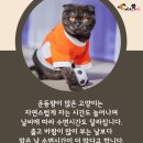 잠꾸러기 - 파주시 가재울로93번길 25-9 | 잠꾸러기
