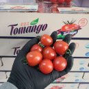 🍉수박특가🍉 🍊카라향 🍈세지메론 🍋성주 용암참외 ⛰️하우스 산딸기 🍓진주수곡 금실딸기 🍅 대저 짭짜리 토마토 이미지