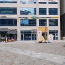 남양주다산초등학교 이미지