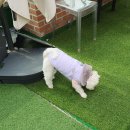 타카독스 커피 이미지