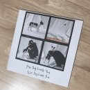 YOU DOG 이미지