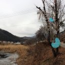 가온들찬빛 | 양평 딸기 농장 체험, 가온들찬빛 솔직후기