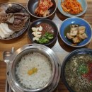 제주동백을담다 이미지