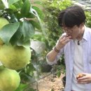 (주)후르츠마켓