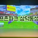 더원지스윙스크린골프