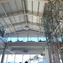 창포마을회관 | 통영 애견동반 대형카페 베이커리 맛집 야외 테라스 디저트 꼬소하이 가격 후기