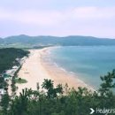 영천 아시아 마트 이미지