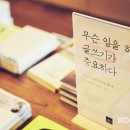 오아시스강남 이미지