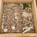 동탄대로L 이미지