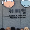 커피멍 - 원주시 | 커피멍