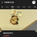 퍼피베이크 이미지