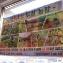 선후농장 네이버블로그
