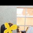 모짤테움음악학원 - 동대문구 장안벚꽃로 107 | 모짤테움음악학원