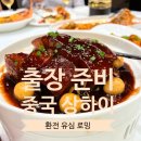 중국 상하이 출장 ✈ (2) to do (전시회 통역 위안화 환전 로밍 유심)