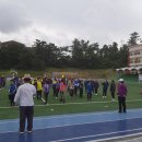 제주대학교교육대학부설초등학교 이미지