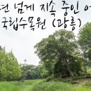 광릉수목원 이미지