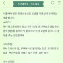 퀸즈헤나 염색 이미지