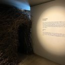 [롱블랙] 이솝 Aesop : 호주 스킨케어 브랜드, 한국 핸드크림 시장을 장악하다