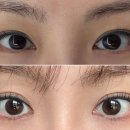 와니속눈썹 이미지