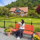 낭만출력소 - 안산시 상록구 고목로3길 14-1 | 양평 가볼만한곳 양평 카페 더그림 애견동반 가능