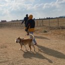 삼천목장 이미지