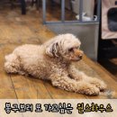 원스하우스행구길카페점 - 8820 | 원스하우스행구길카페점