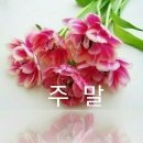 달콤한금요일