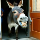 센텀아시아치과의원 이미지