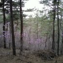 아름따다 이미지