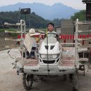 바우찹쌀농장 이미지