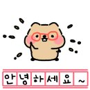 안양동물병원 이미지