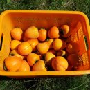 청전농장 이미지