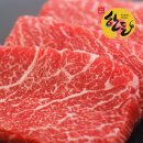 법인돈우
