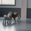 이씨네복덕방 이미지