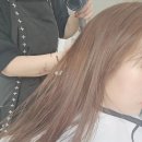 채인디자인