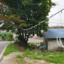 반월봄약국 네이버블로그