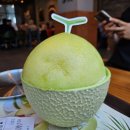 설빙충남내포 | 내포 설빙 설빙 메뉴와 요거통통 메론빙수 먹은 후기! 맛있는 내포 빙수