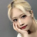 메모리아 이미지