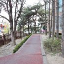 주택114공인중개사사무소 이미지