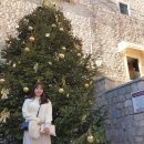 상아약국 | 동유럽 겨울 여행 크로아티아 두브로브니크 필레게이트, 오노프리오 분수, 플라차거리, 프란체스코...