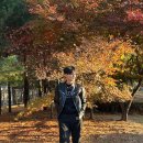 지즈루이스 이미지