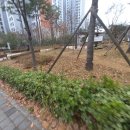 염창소공원 이미지