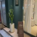 두세네몽 이미지