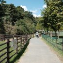 차원목장 이미지