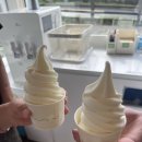 새물목장 이미지