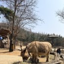 연인벨리 | 에버랜드 로스트벨리 후기 및 용인 나들이